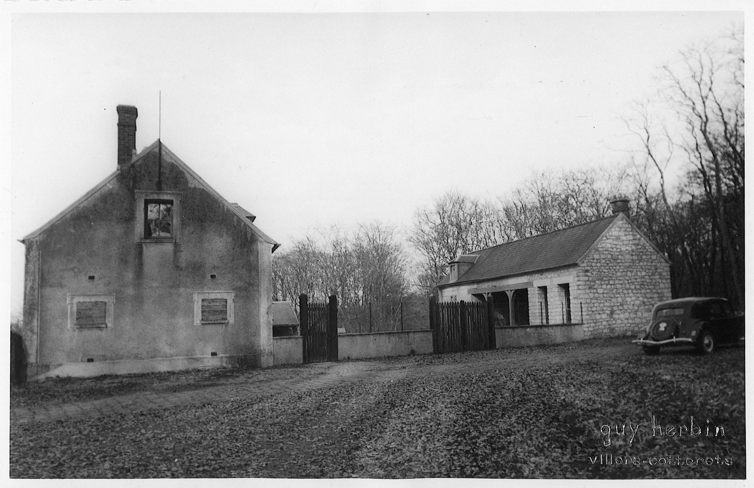 Main Image