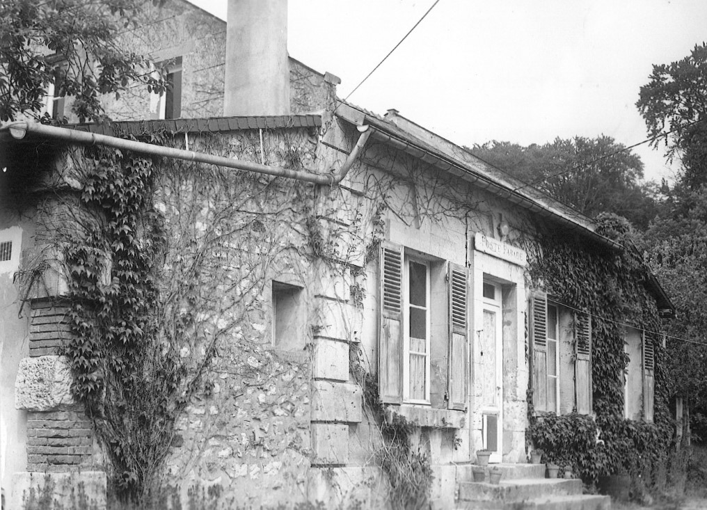 Main Image