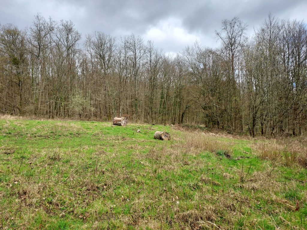 Moulinet - emplacement de la maison forestière