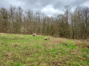 Moulinet  – emplacement de la maison forestière