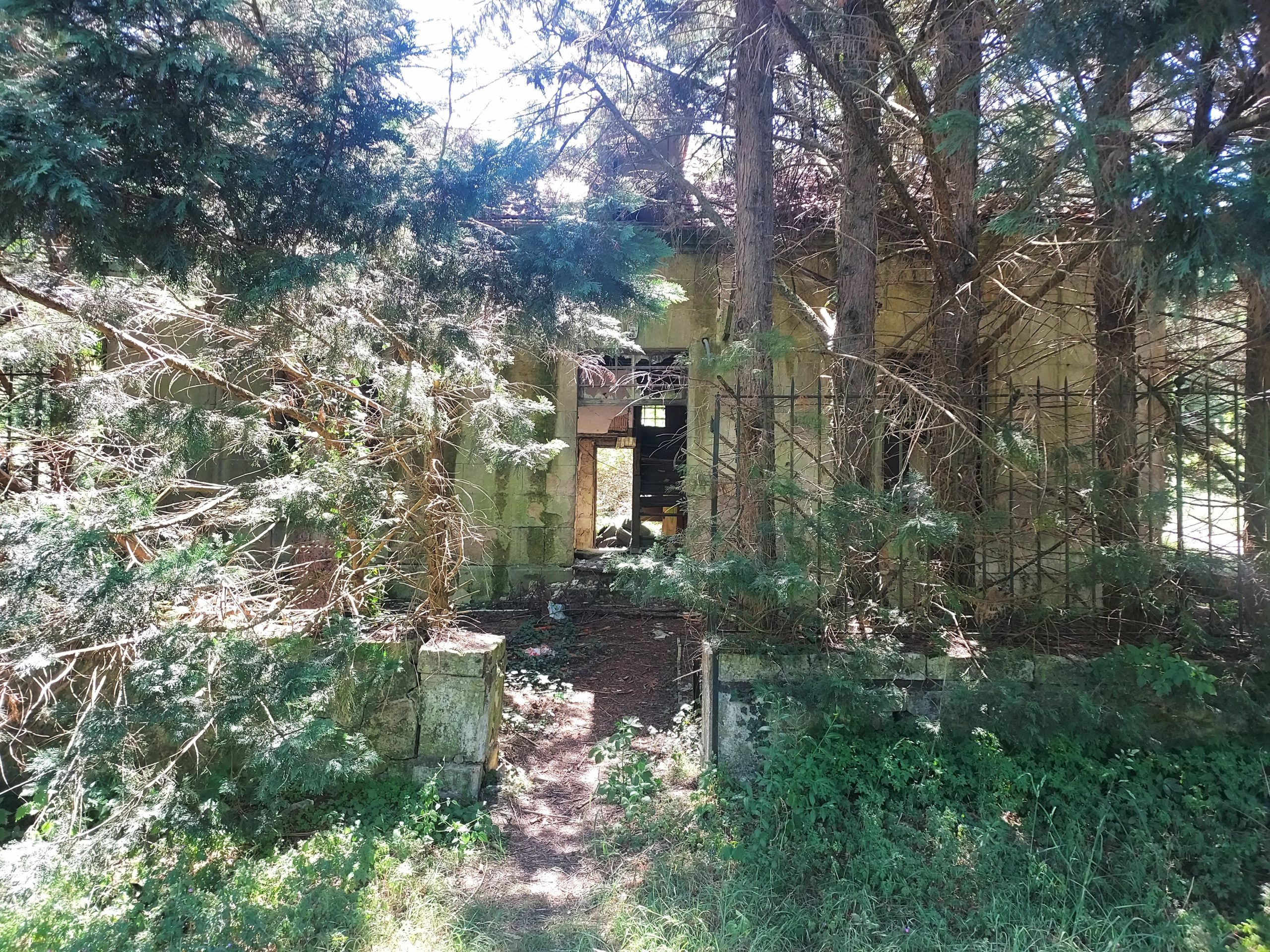Main Image