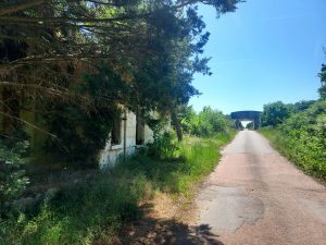Quatorze Frères – vestiges de la maison forestière