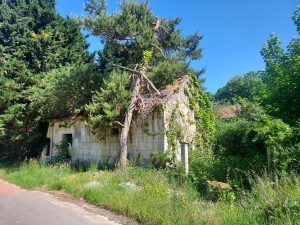 Quatorze Frères – vestiges de la maison forestière