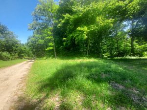 Tillet – emplacement de l’ancienne maison forestière