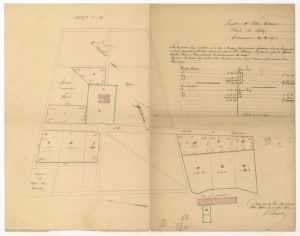 Pépinière et Faisanderie – plans des terrains autour des deux maisons forestières