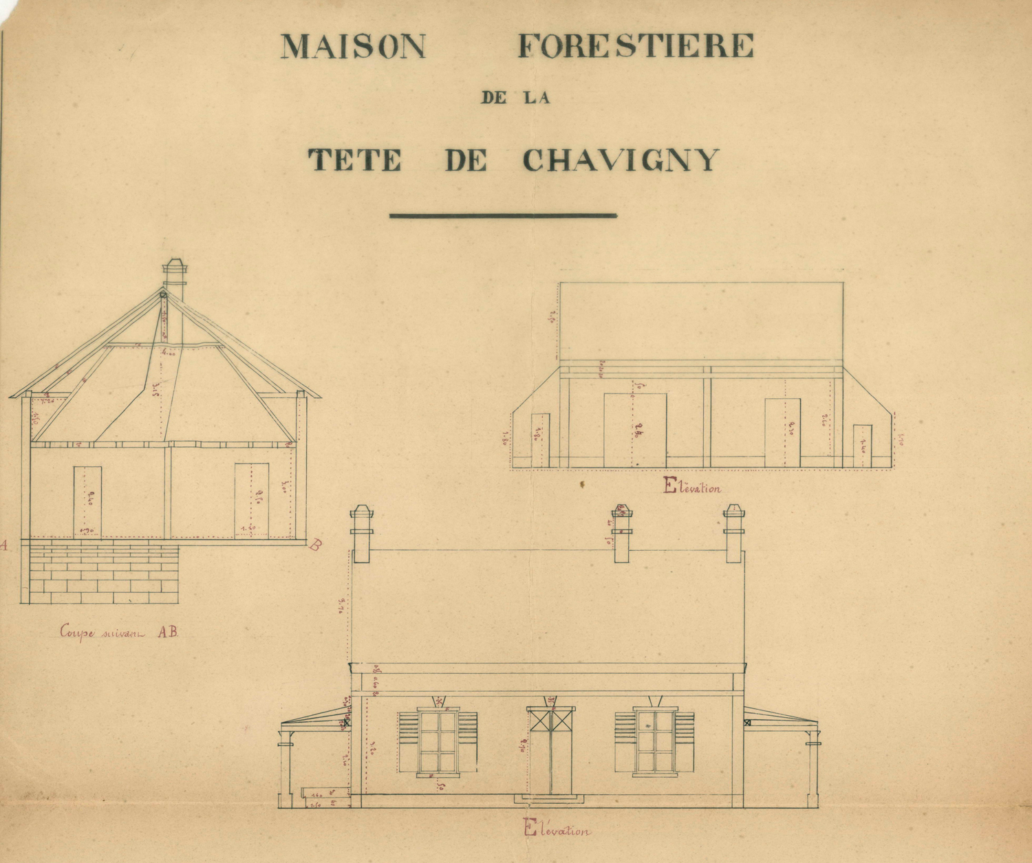 Main Image