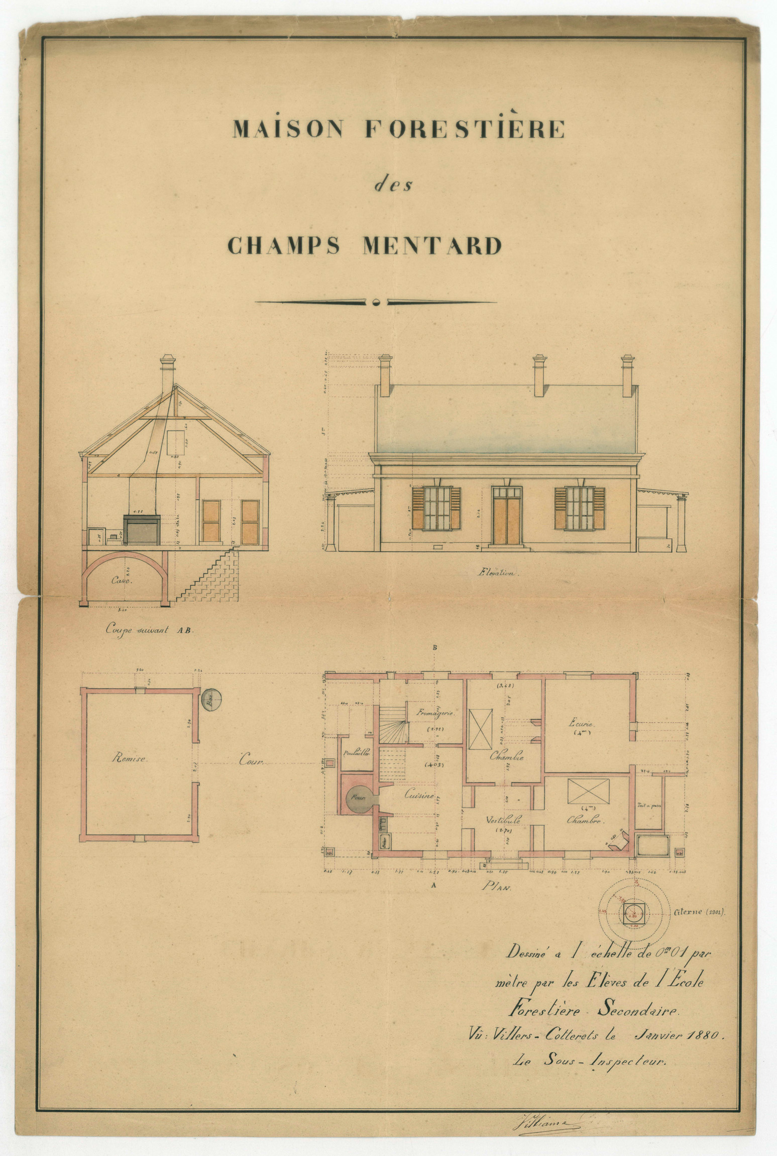 Main Image