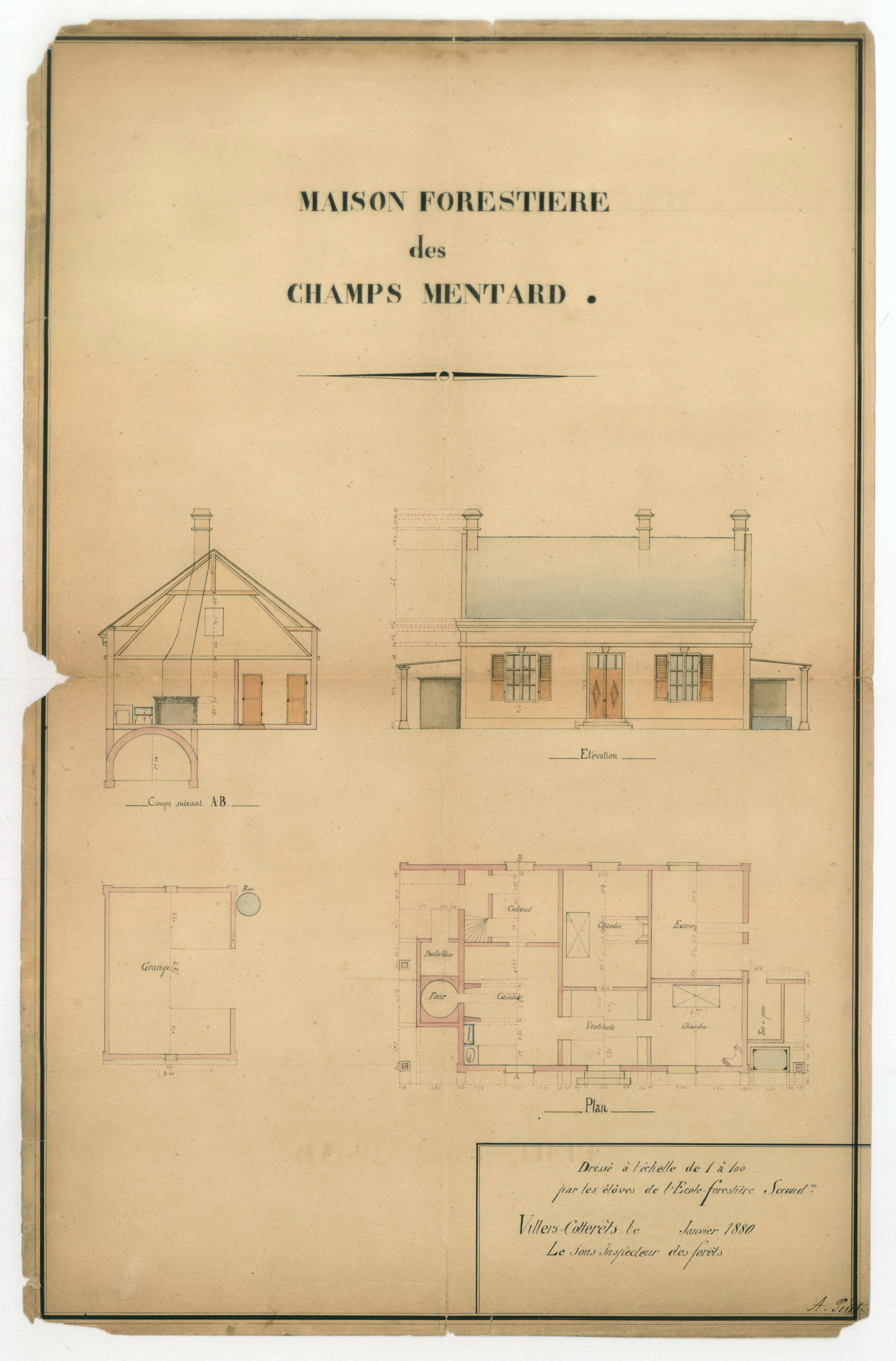 Main Image