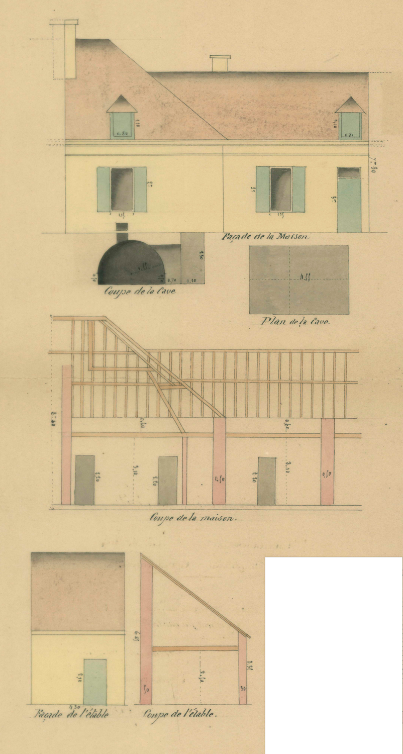 Main Image