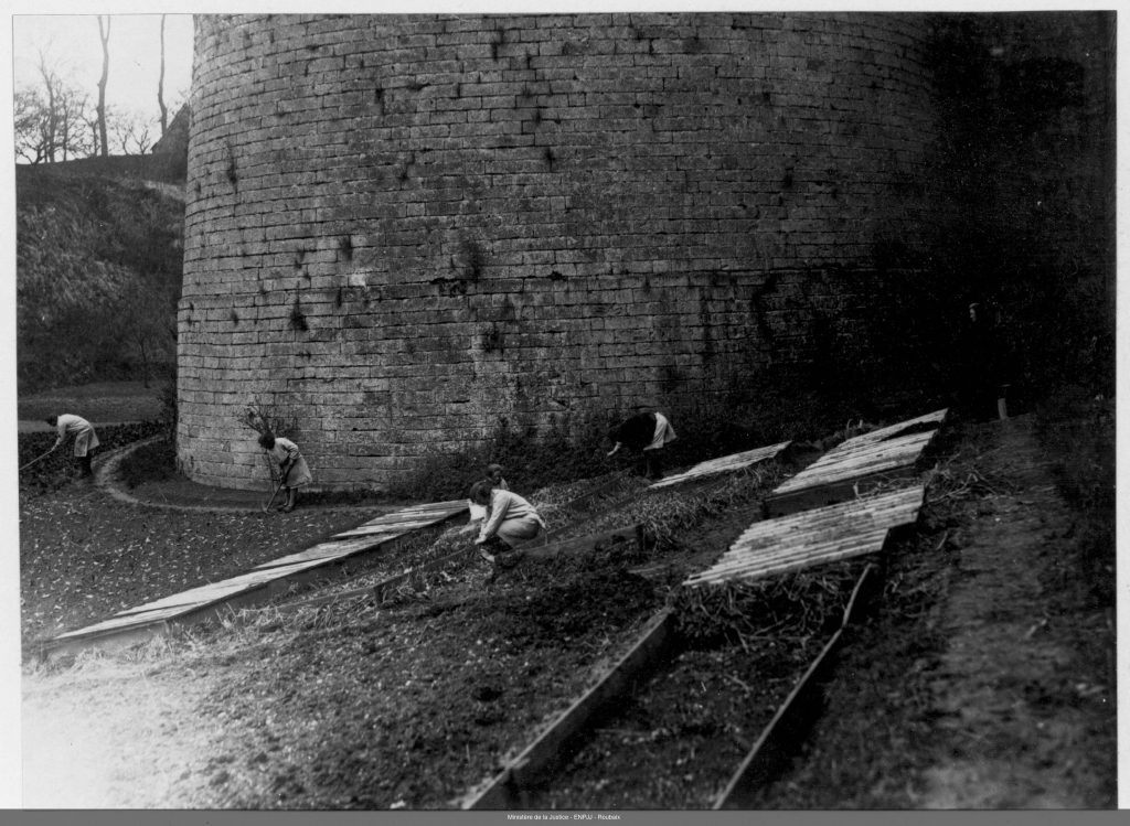 Travaux agricoles à l'école de préservation de Doullens (Photographie issue du fonds Fonds « Henri Manuel » | Médiathèque de l’ENPJJ « Eglantyne Jebb »)