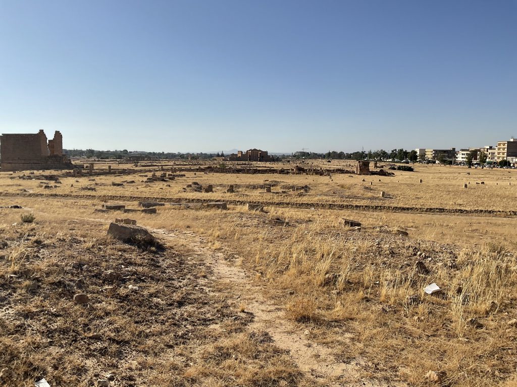 Vue générale de Sufetula vers l'ouest