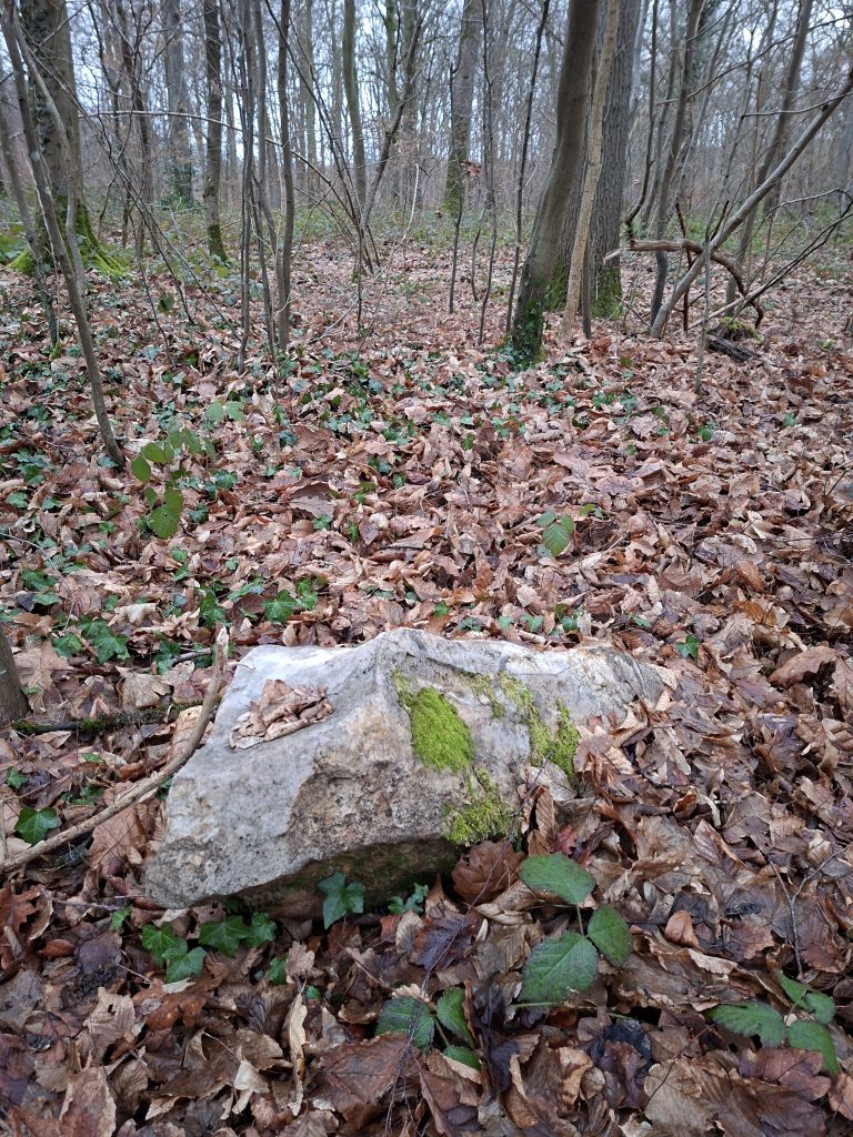 Borne de la forêt de Retz