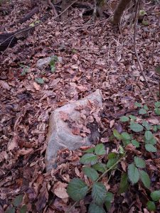 Borne forestière – B0160