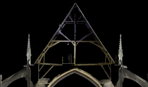 Protégé : La forêt de Beauvais